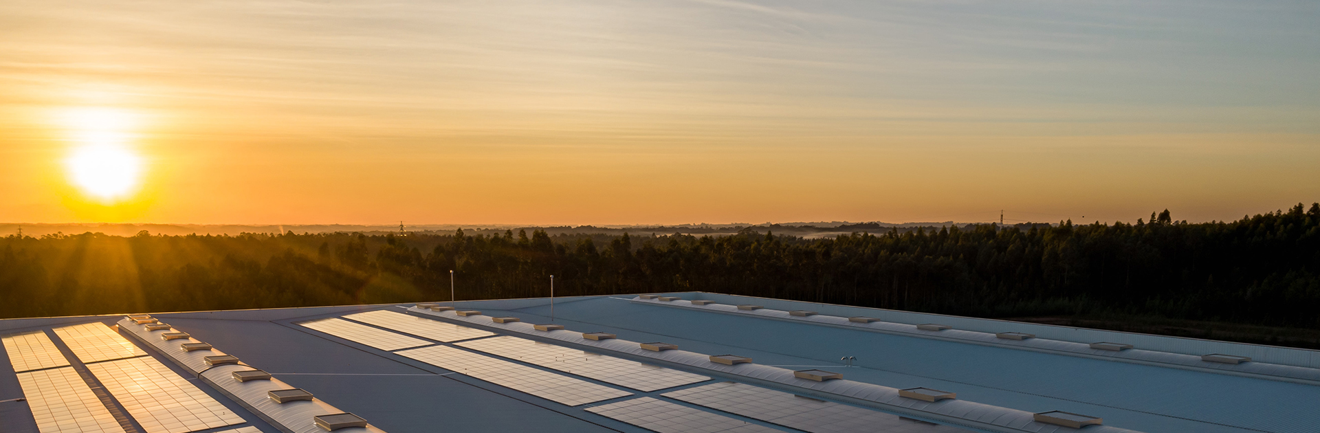 您电气安全的合作伙伴